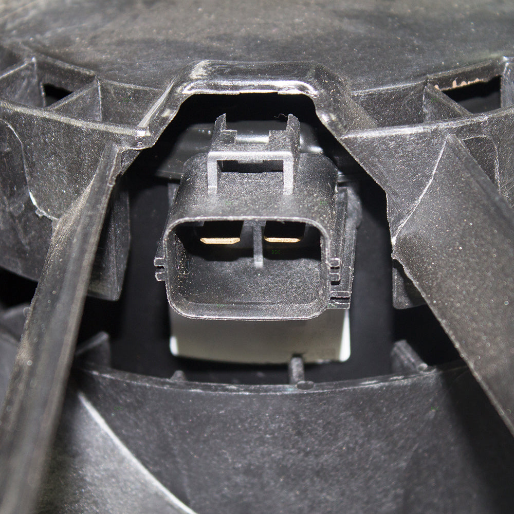 Brock Replacement Dual Cooling Fan Motor Shroud Assembly Compatible with F-150 Pickup Truck Expedition Navigator AL3Z 8C607 B