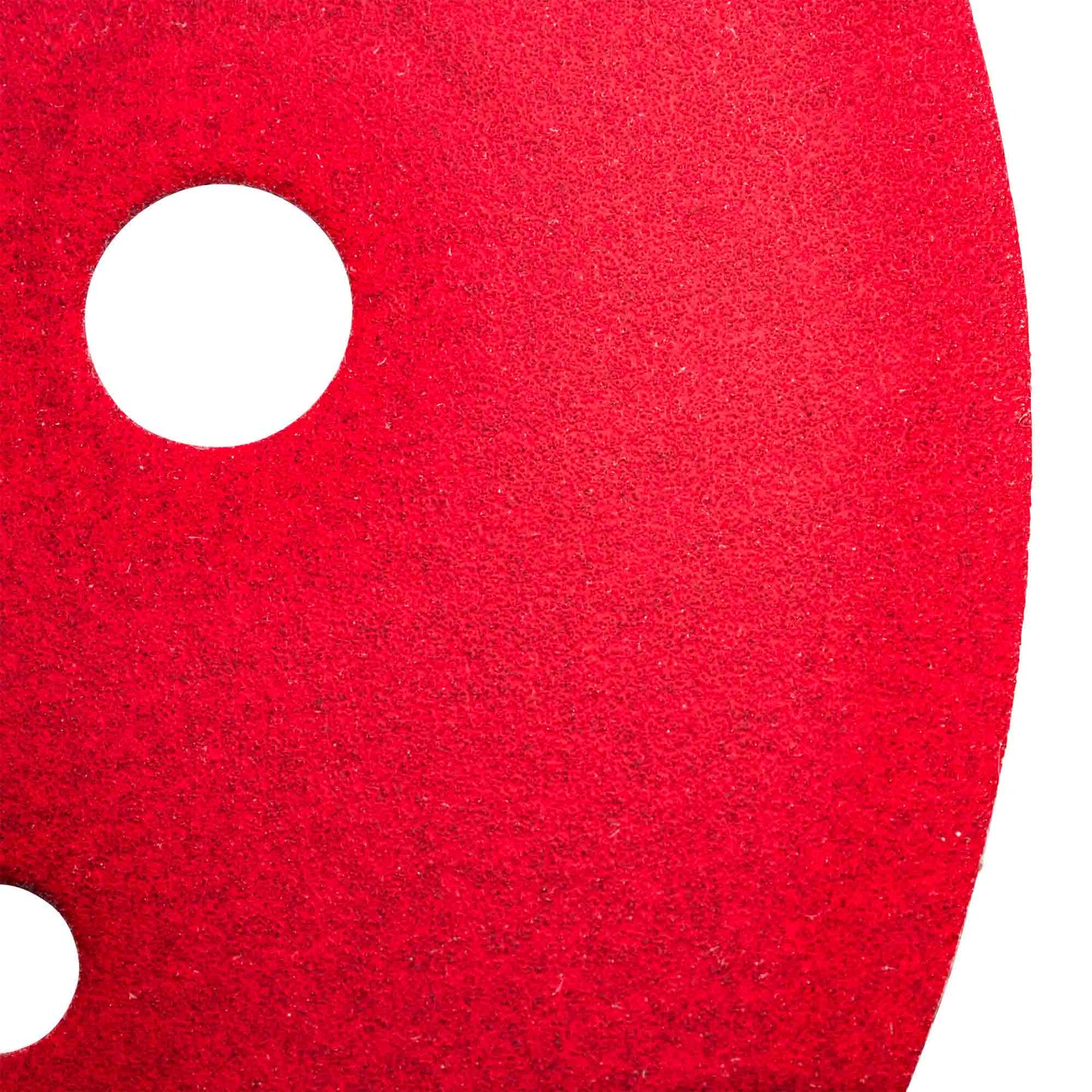 Diablo 5 Inch 220-Grit Hook-Lock Sanding Discs 50 Piece Pack