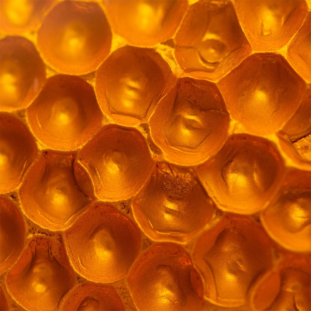 Side Marker Light fits Ford Bronco II Ranger Explorer Passenger Side Corner Lamp